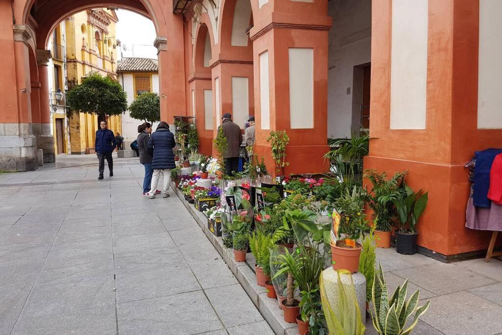 Apartamento San Pedro-Corredera Cordoue Extérieur photo